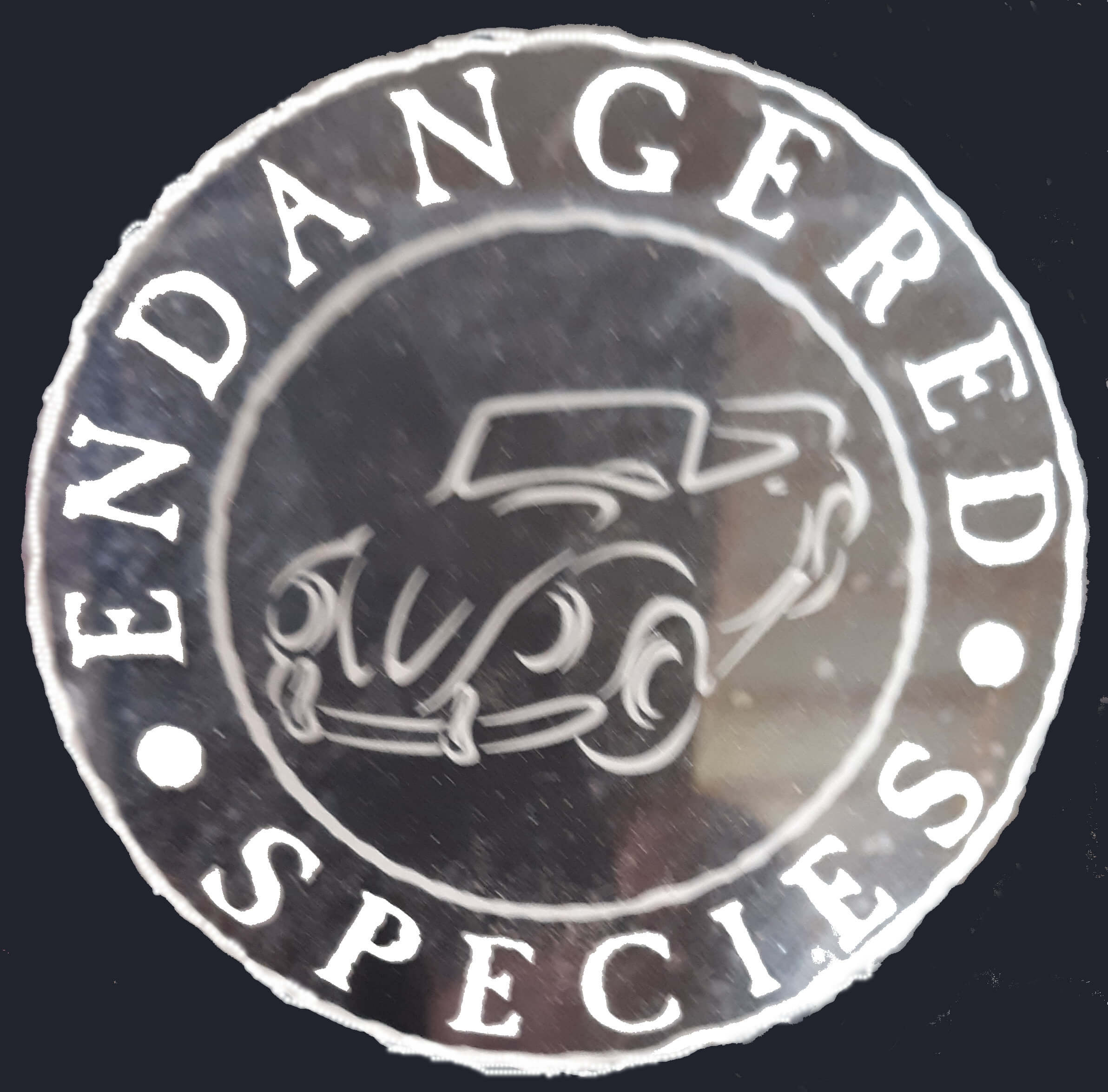 (image for) VW Endangered Species